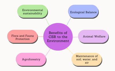 What Are The Benefits Of CSR To The Environment?