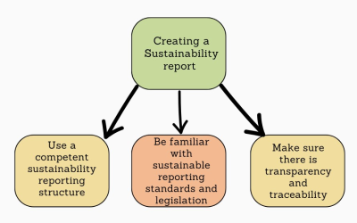 SEBI’s BRSR Guidelines