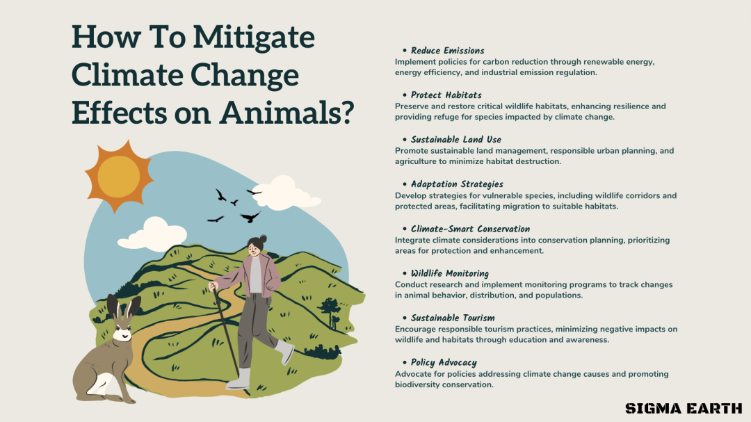 Climate Change Effects On Animals: Understanding The Consequences ...