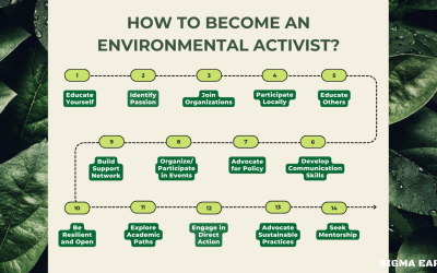 Top 10 Environmental Activists From Around The World