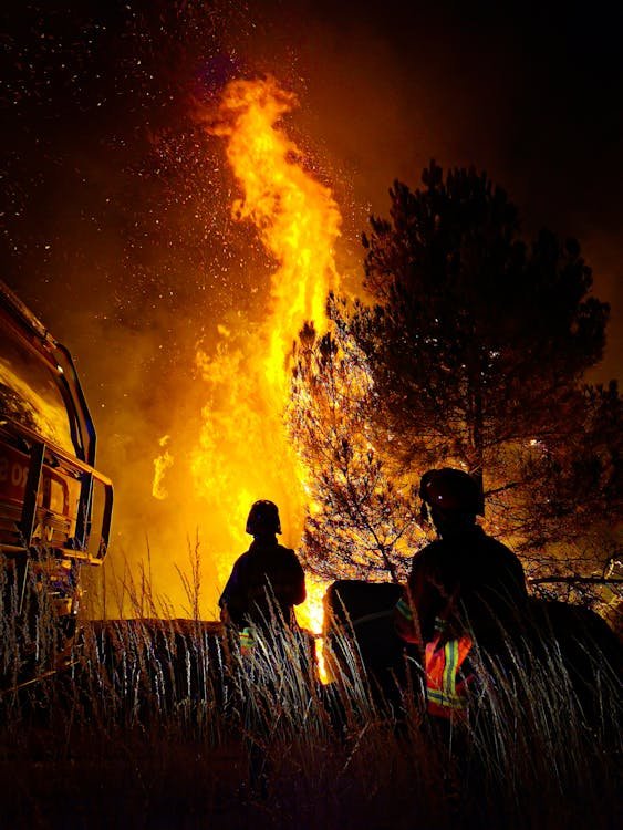 largest wildfire of Texas