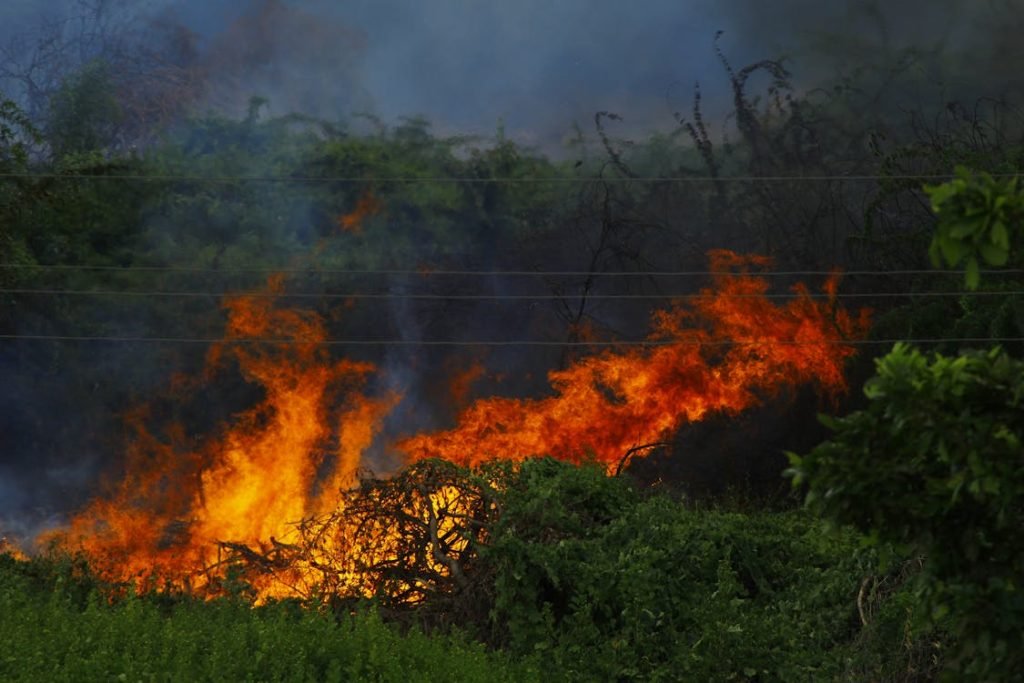 Forest Fire In Mexico Spreads In Drought Stricken Area, At Least 4 Dead
