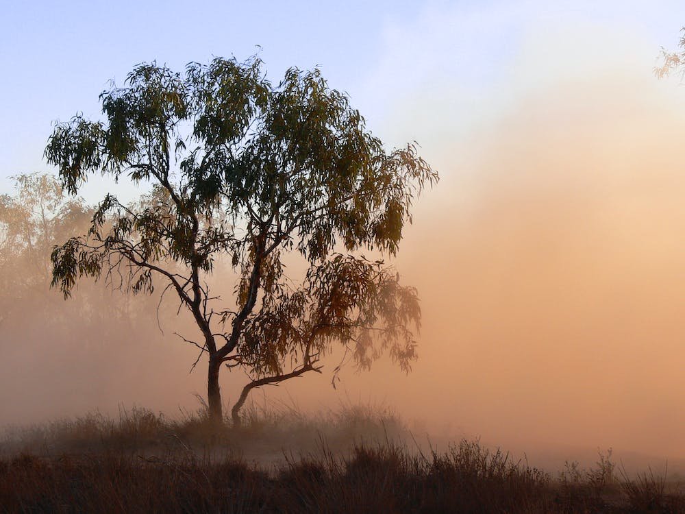 US Republican States And Industry Groups Oppose EPA's New Rule On Soot Pollution