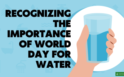Recognizing The Importance Of World Day For Water