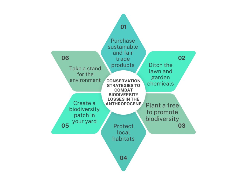 Conservation Strategies to Combat Biodiversity Losses in the Anthropocene