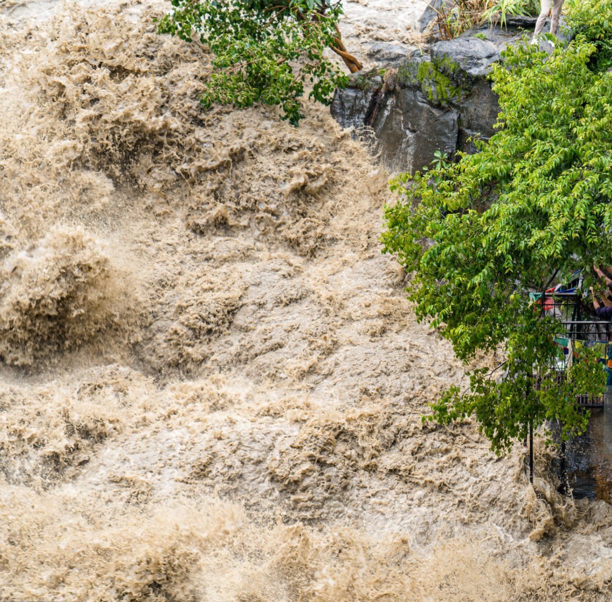 kerala Wayanad landslides