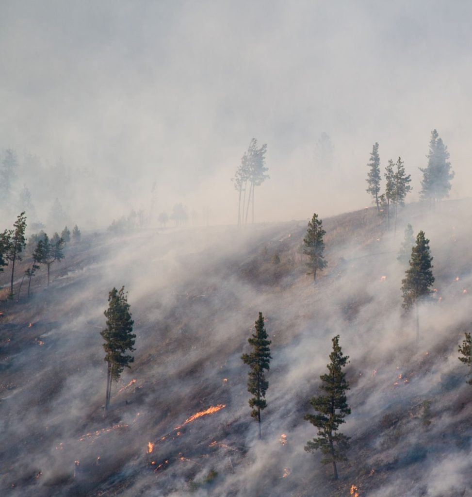 Greek wildfires