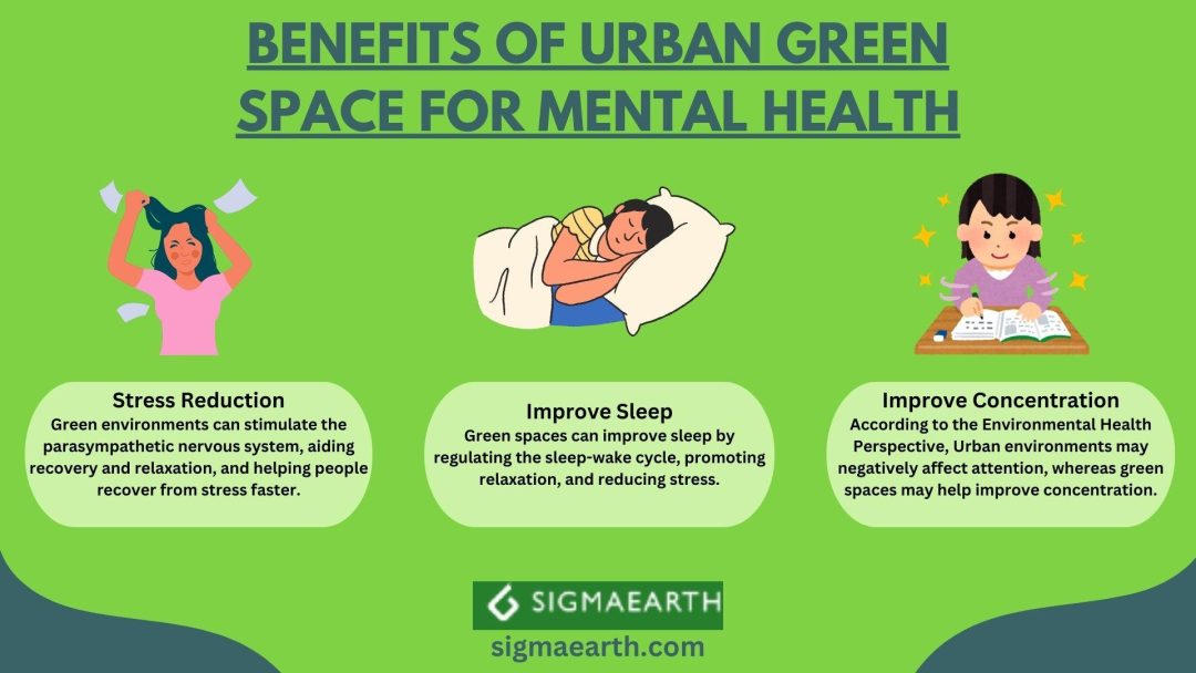 The Benefits Of Urban Green Spaces For Mental Health - Sigma Earth