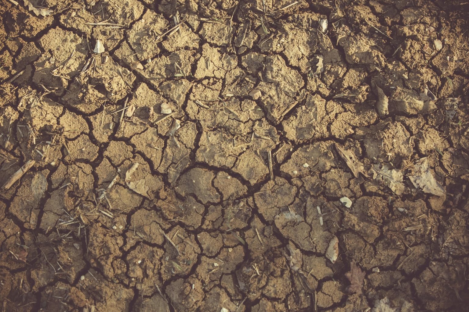 Why Is The Cycle Of Rocks Called Never-Ending? - Sigma Earth