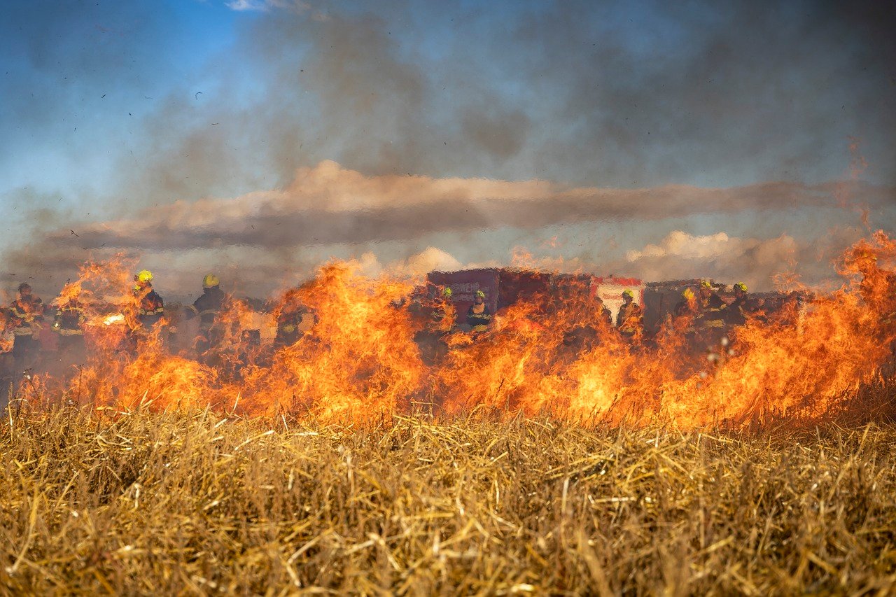 Bolivia Wildfire goes out of Control, smoke turned day into Night