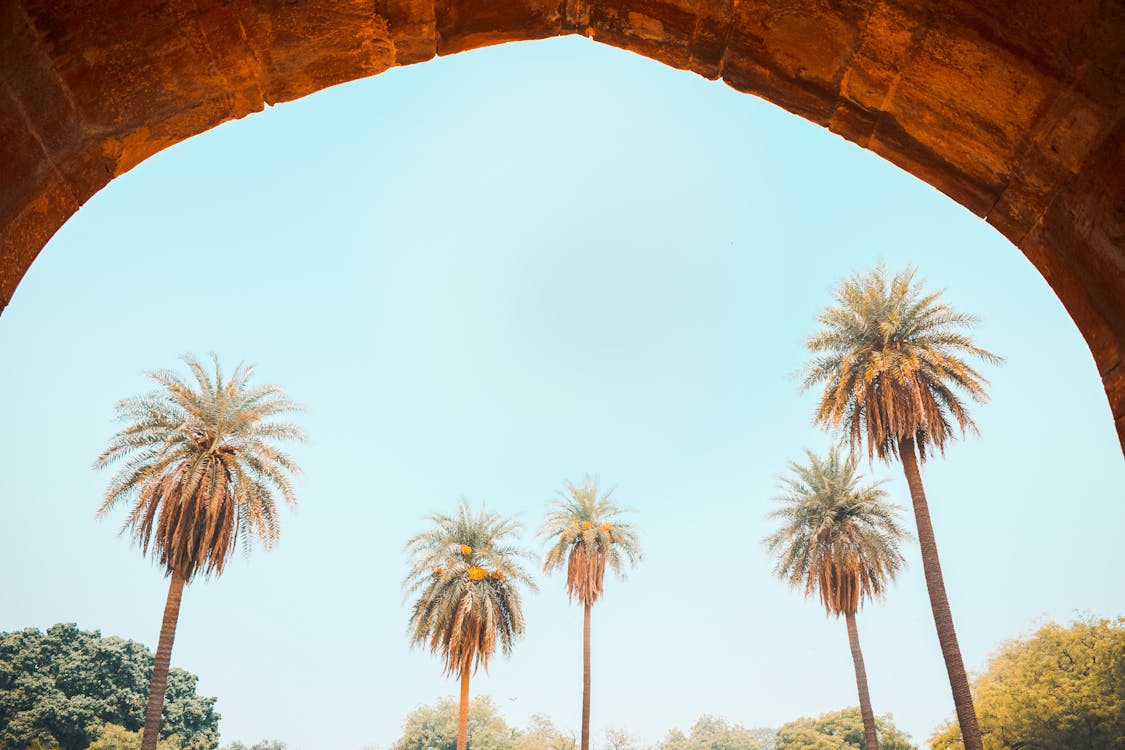September Heat scorches Delhi