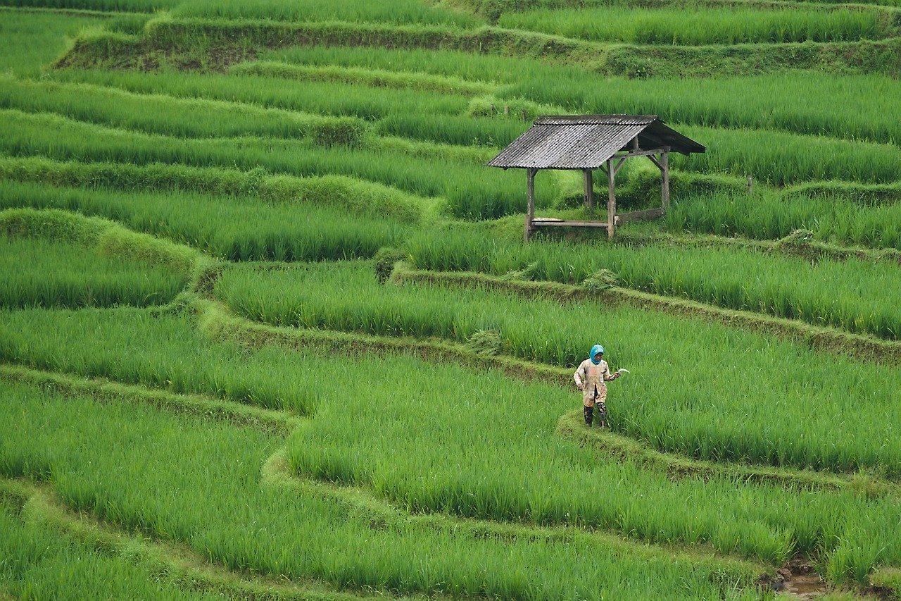 sustainable agriculture in food and beverage industry