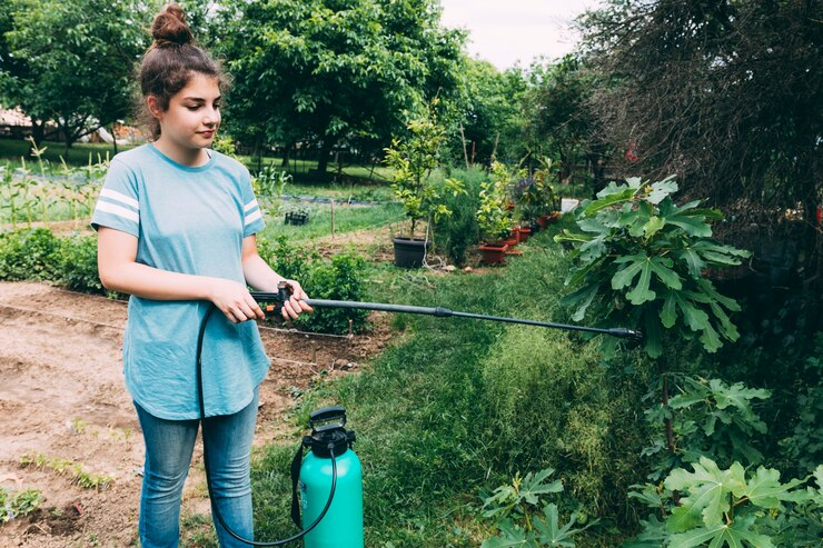 Water-Wise Gardening: Growing a Climate-Resilient Garden