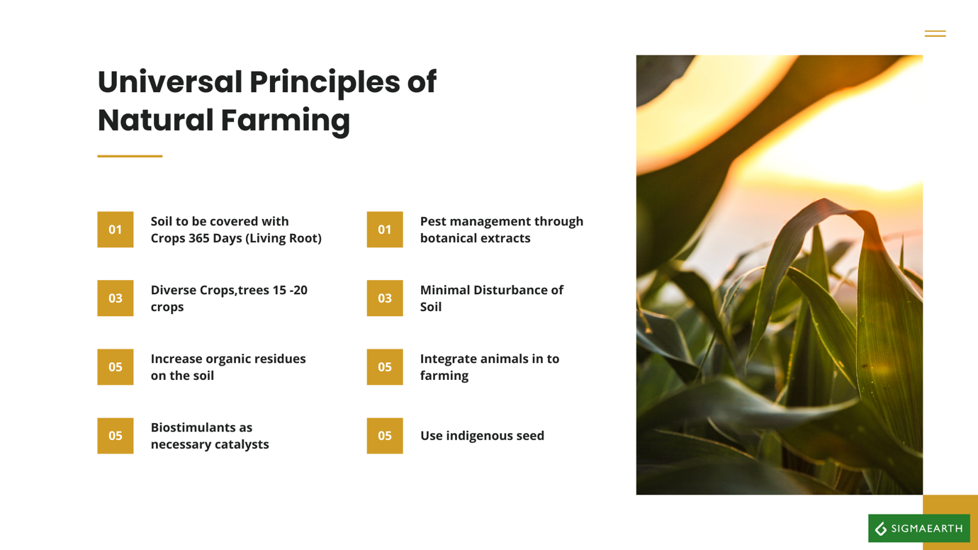 Andhra Pradesh model of natural farming