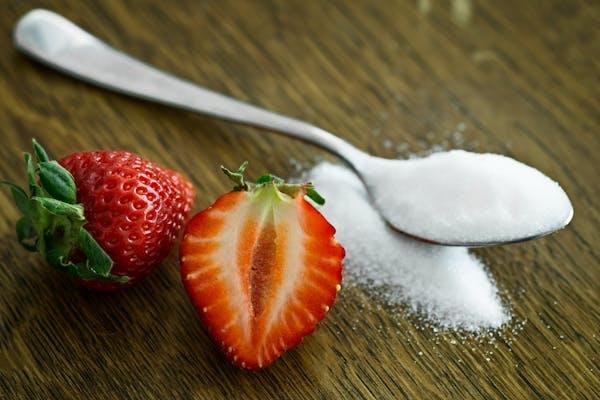 Foods That Contain Animal Products