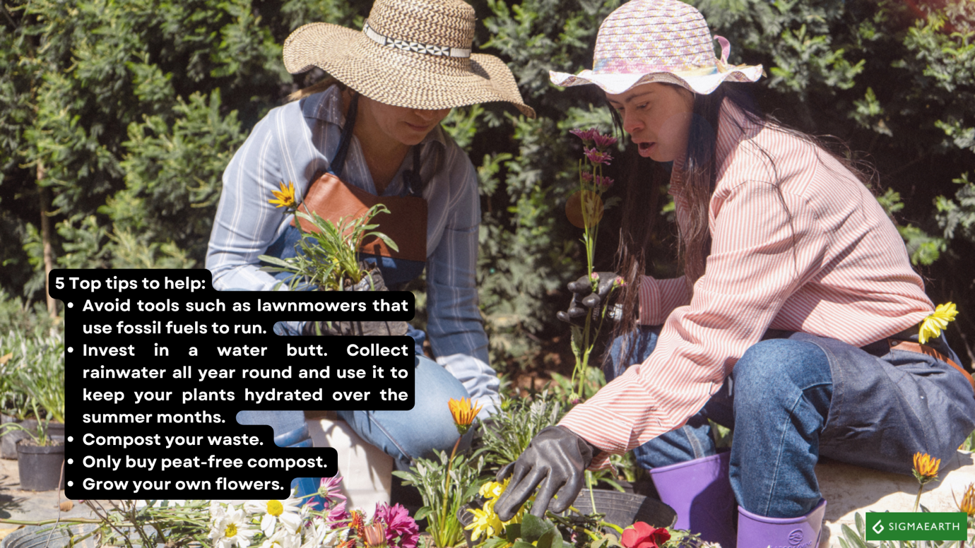 carbon-free gardening
