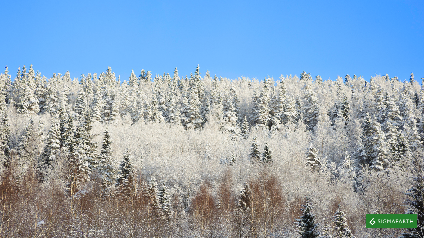 Arctic Boreal Region becomes Carbon Emitter