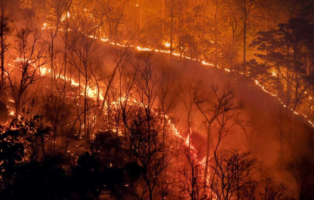 Hughes Fire