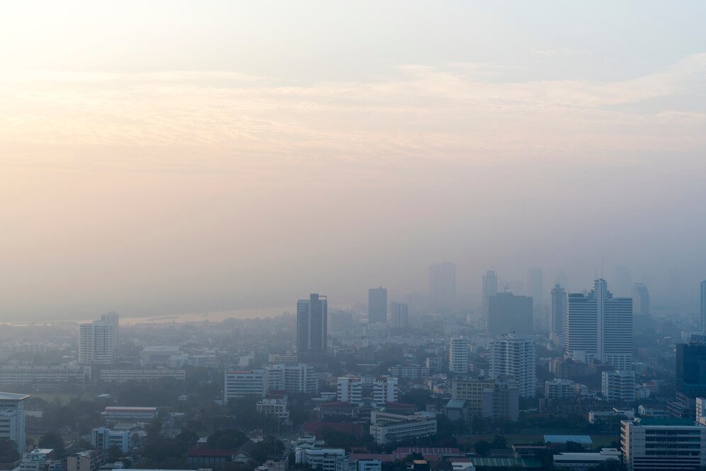 Dense fog in Delhi