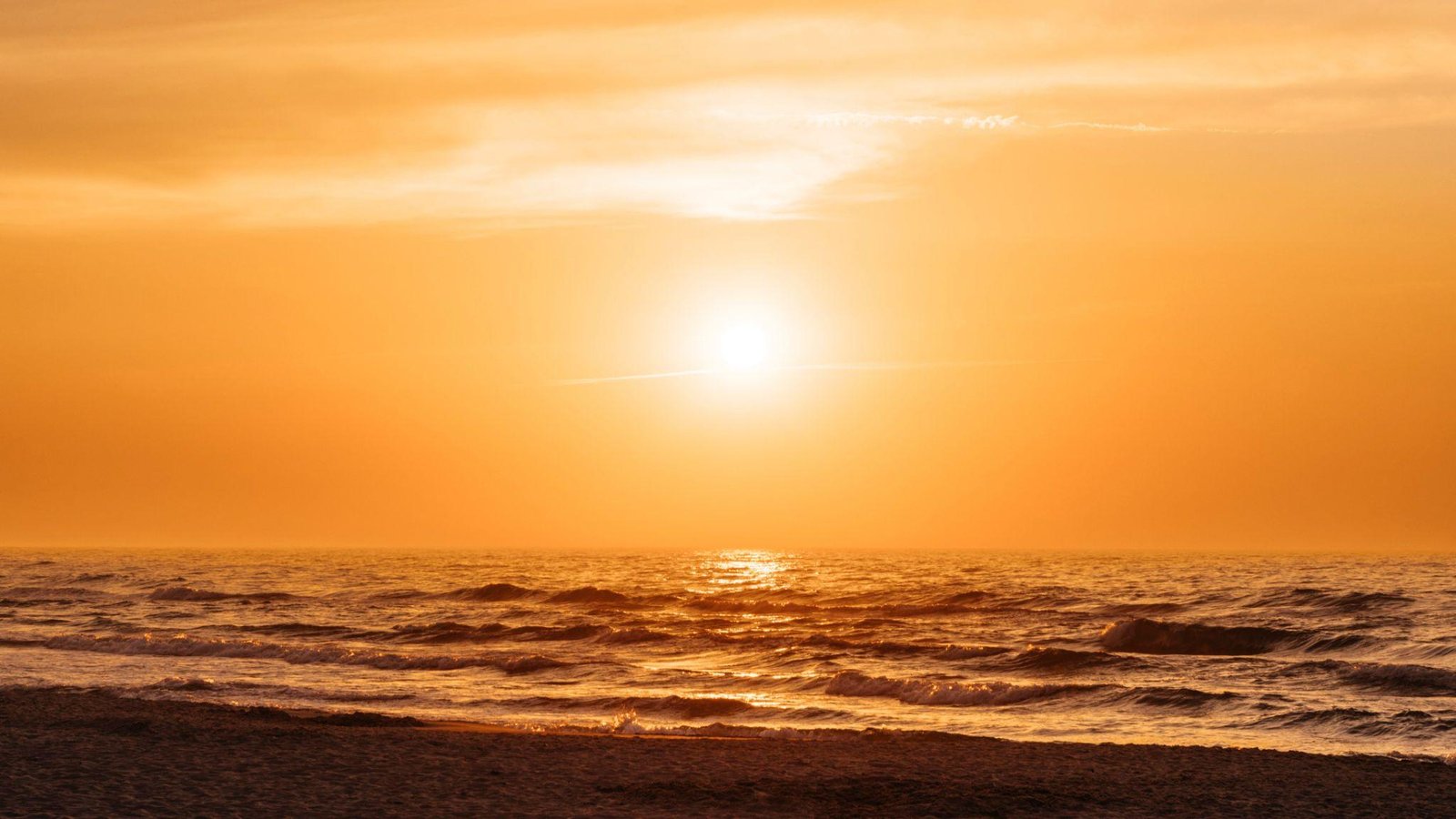2024 is the First Year Exceeding 1.5°C Global Warming