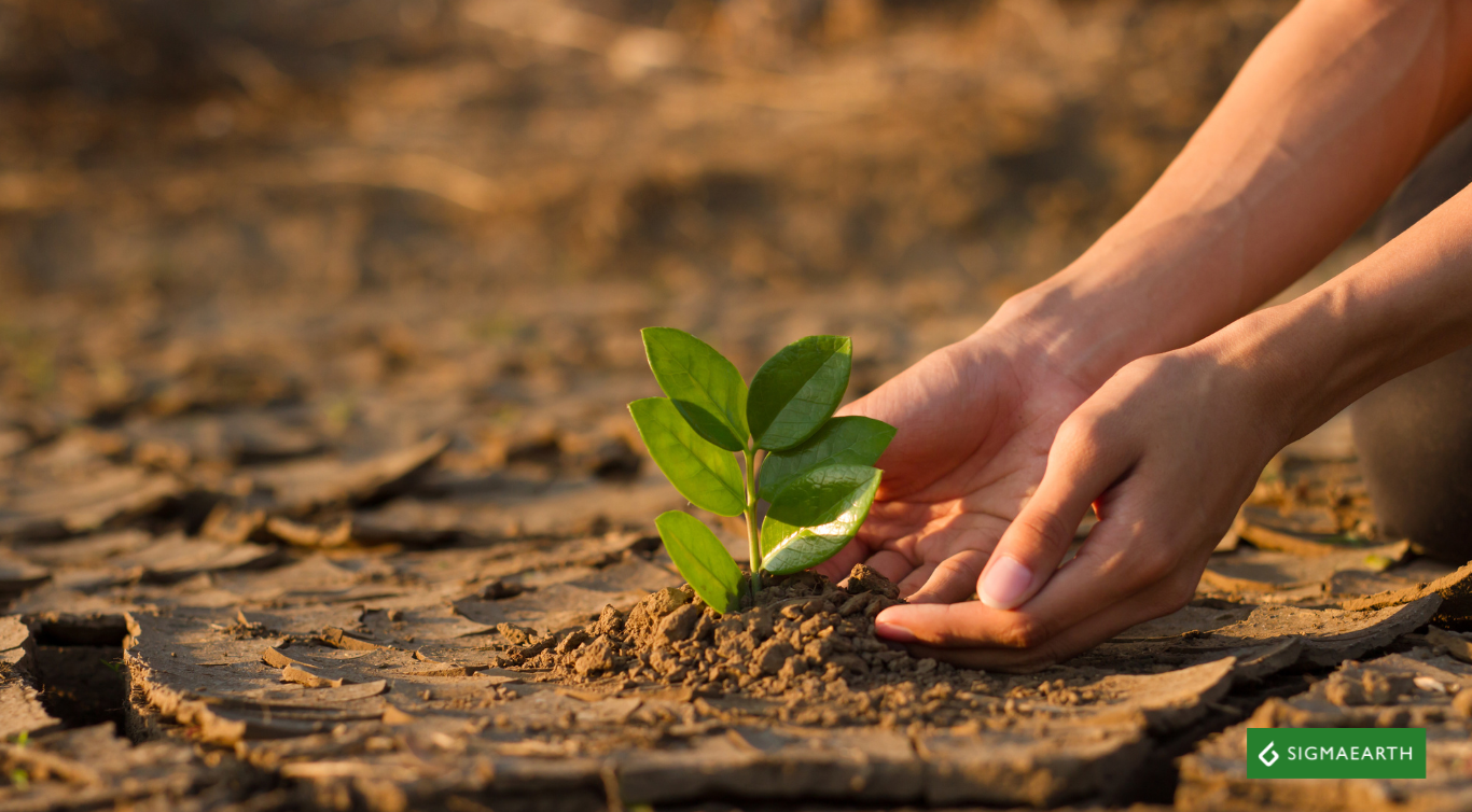 Personal Climate Action