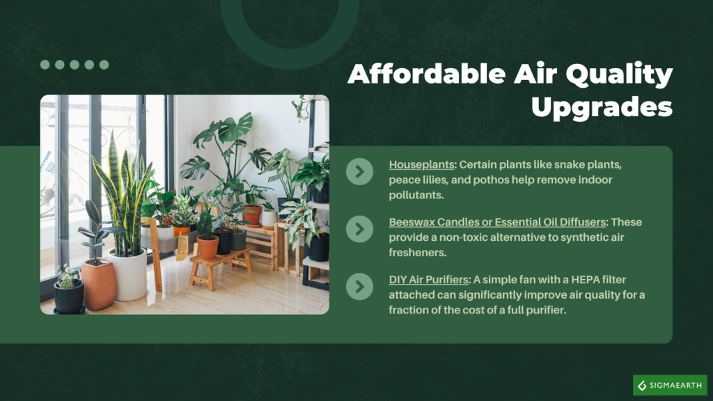 Affordable Green Home Upgrades For Us Renters Photo Inspiration