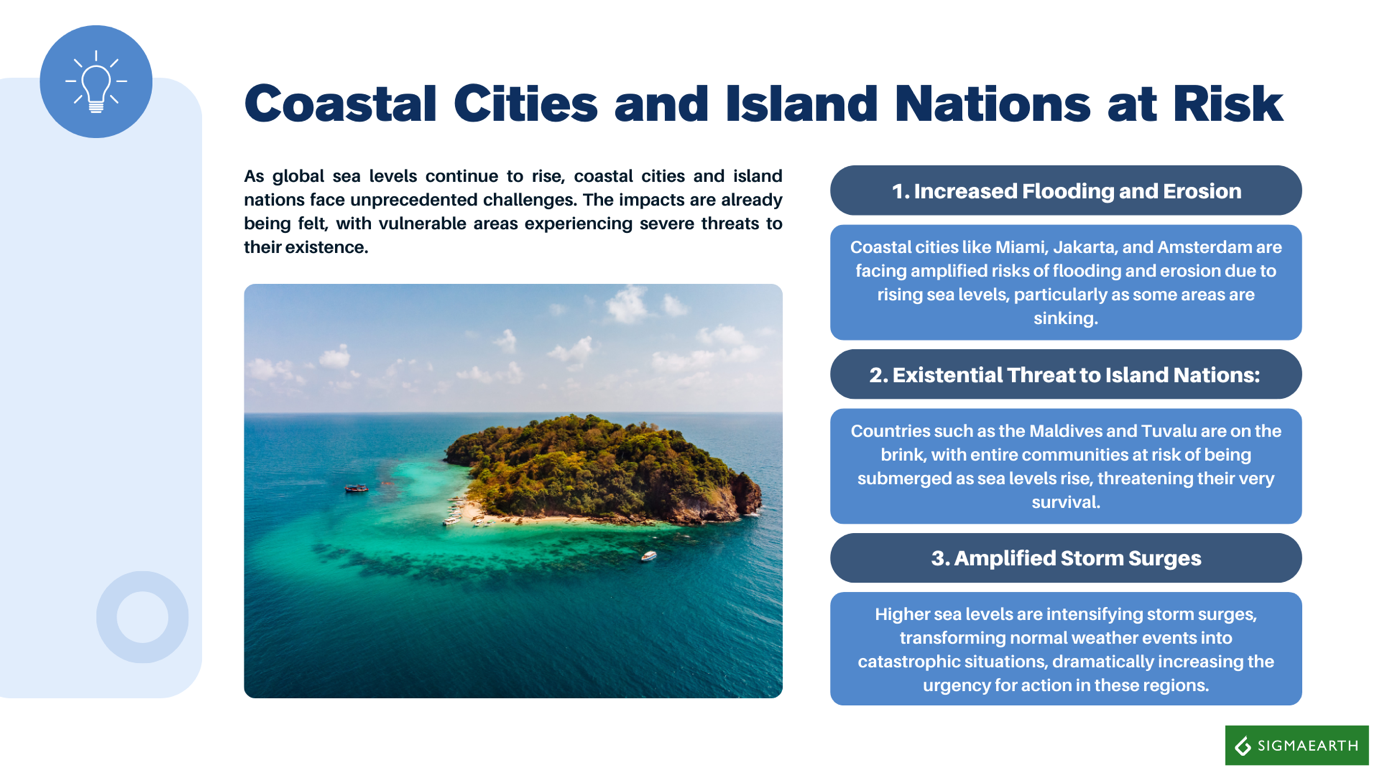 Global Sea Levels Surged in 2024