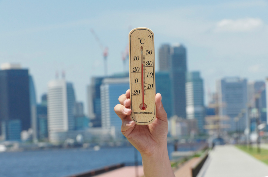 Global Temperatures Will Exceed 1.5°C by 2029