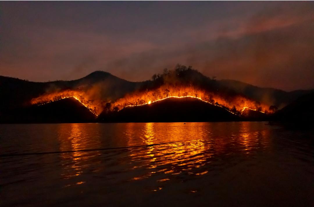Wildfires Leave a Lasting Mark on Water Quality