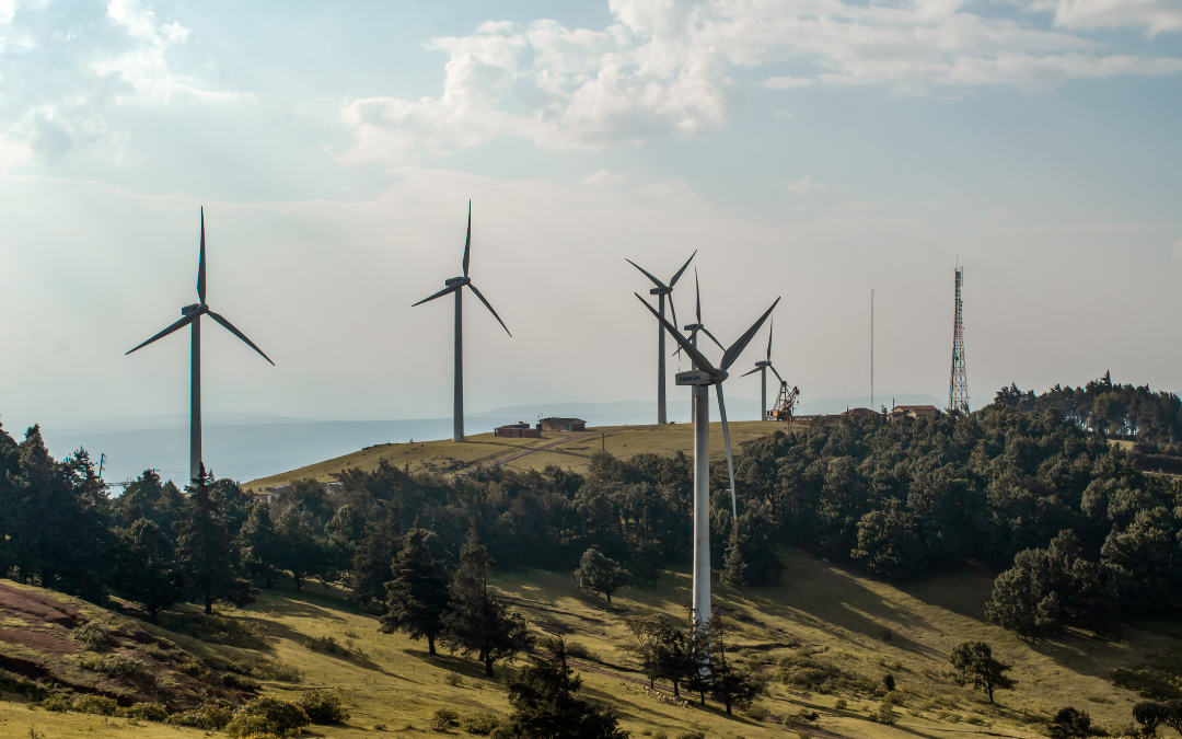 India’s Wind Energy Milestone: Soaring Past 51 GW, Yet Facing Turbulence For 2030 Targets