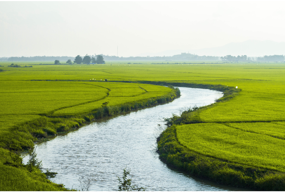 Rivers are Releasing Long-Stored CO₂ Back to Atmosphere