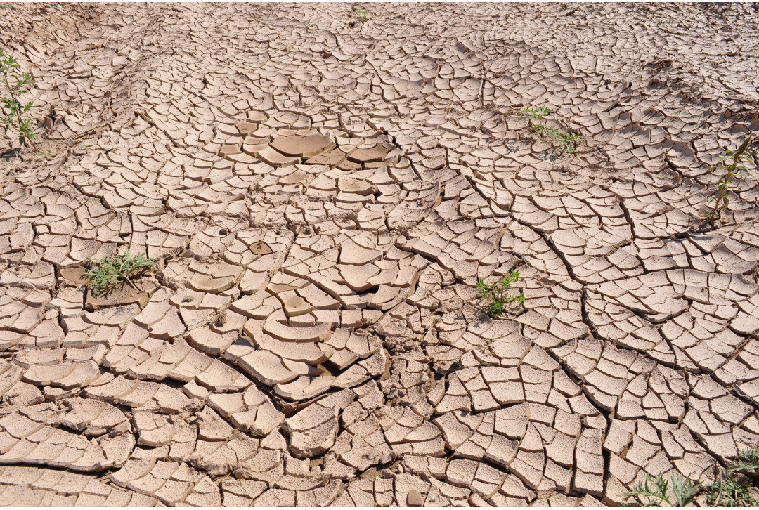 Yorkshire Declared in Drought