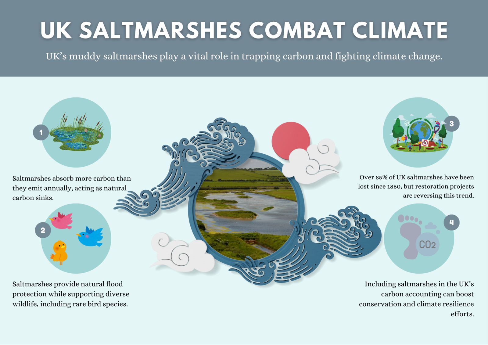 UK’s Muddy Saltmarshes Key to Combating Climate Change