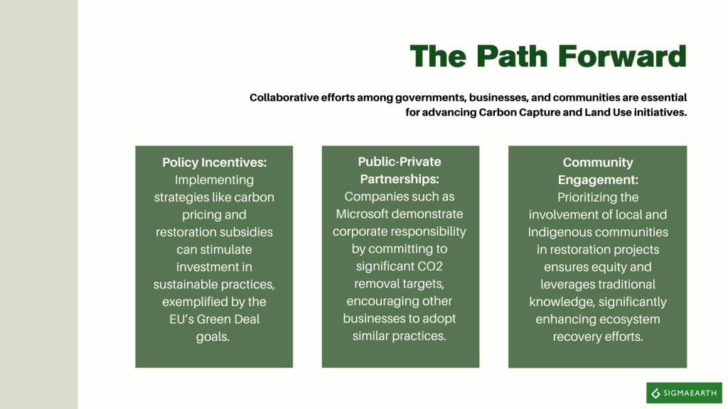 Carbon Capture And Land Use: Can It Help Restore Ecosystems? - Sigma Earth