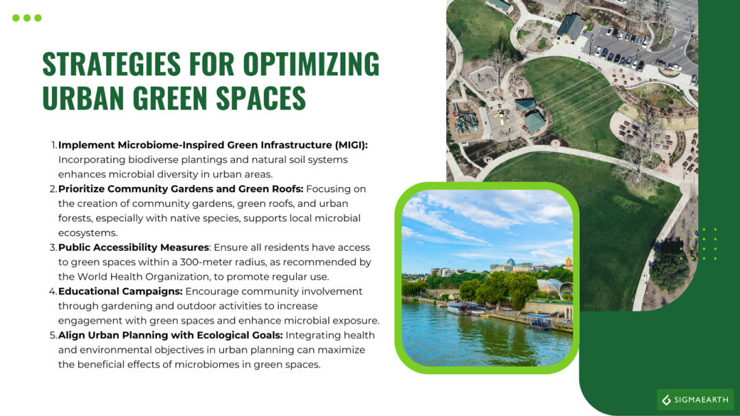 The Microbiome Of Urban Green Spaces And Human Well-Being - Sigma Earth