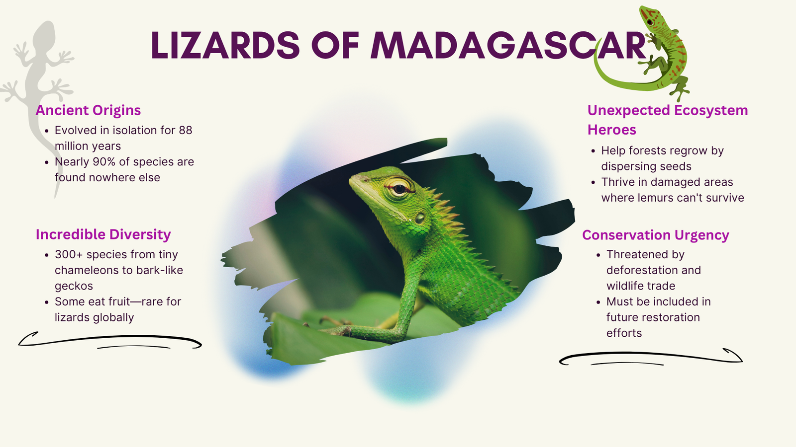 Lizards of Madagascar
