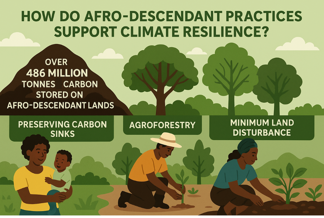 Deforestation Drops by 55% in Afro-Descendant Territories