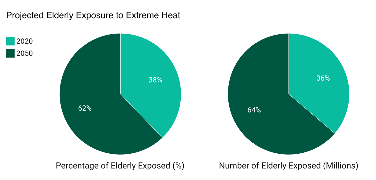 UN Frontier Report: Heat-Related Deaths Among Elderly Surge 85% Since the 1990s