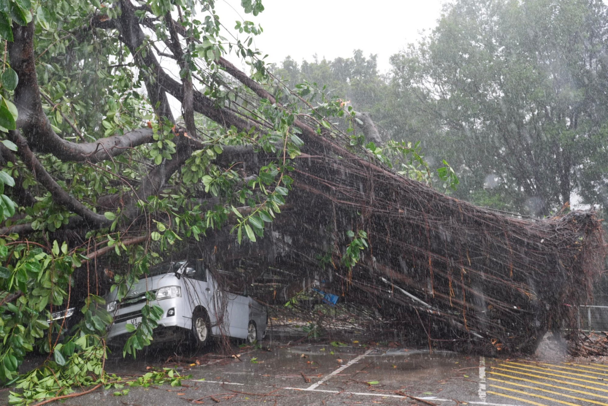 Typhoon Wipha