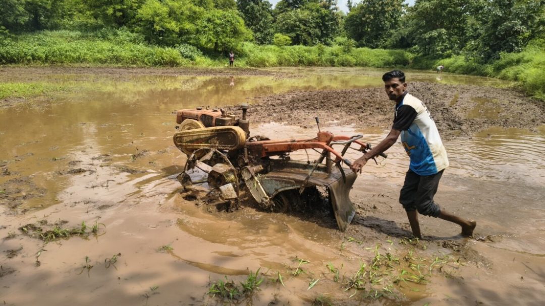 Amazon India Invested ₹37 Crore In Water Replenishment Projects ...