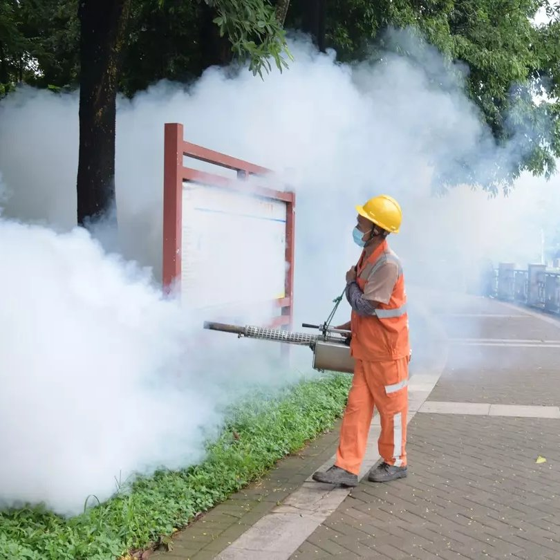 health crisis with mosquito outbreak
