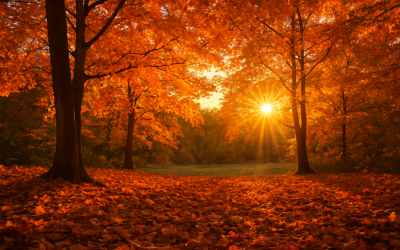 Autumn Equinox Arrives, Heralding Change Of Seasons