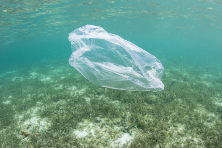 California Sued Plastic Bag Manufacturers