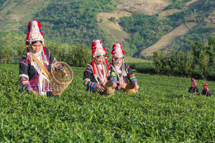 Indigenous communities on the front lines of climate change