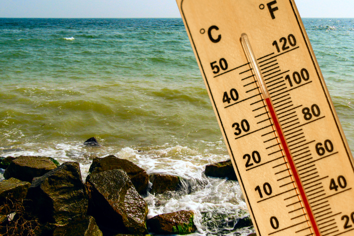 Ocean Is Our Carbon Toilet