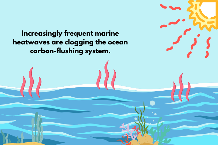 Ocean Is Our Carbon Toilet