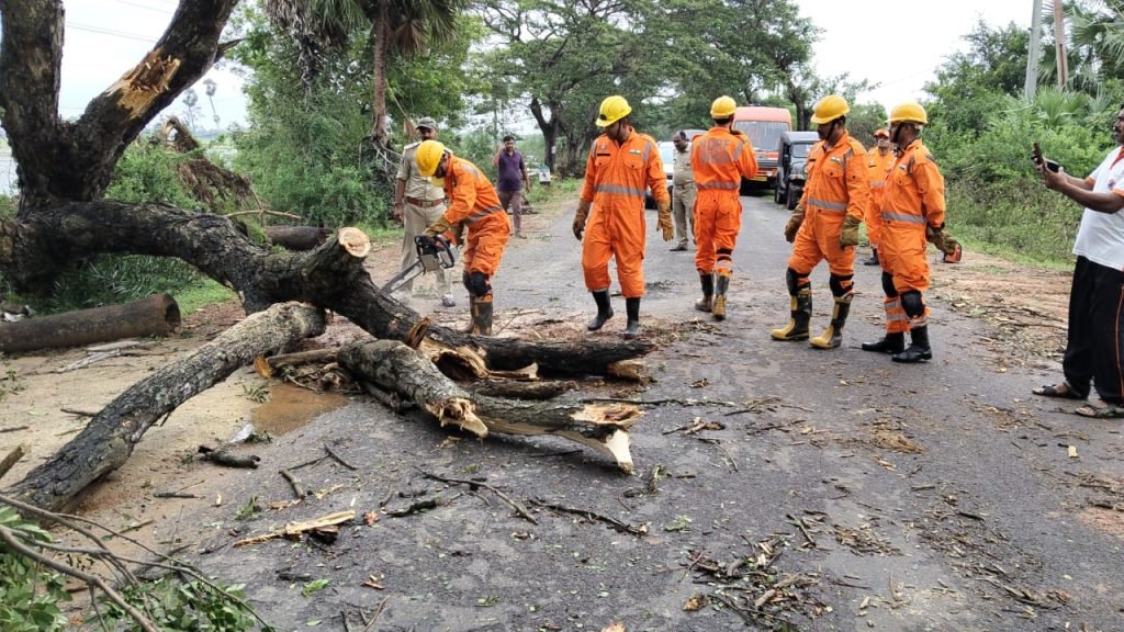 Cyclone Montha Caused $603 Million In Damages
