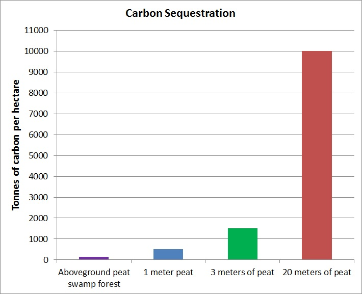 carbon sequestration of peatland