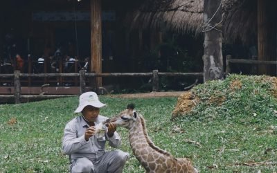 International Zookeeper Day: Celebrating The Keepers Of Wildlife