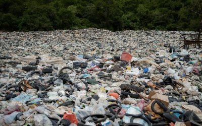 Plastic Pollution May Linger on Ocean Surfaces for Over a Century, Study Warns